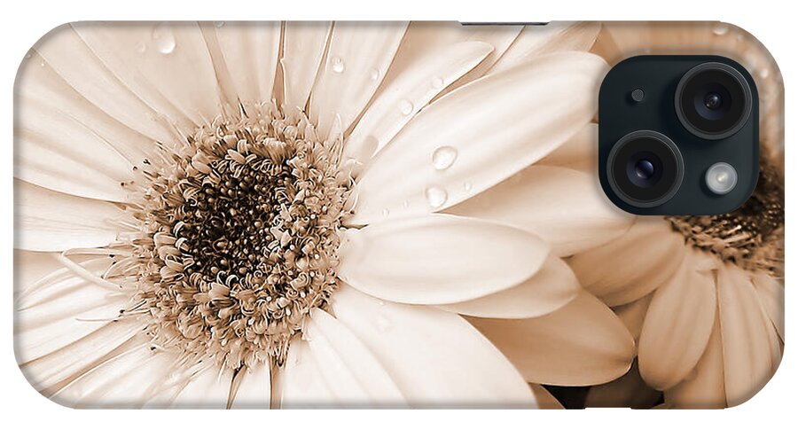 Daisy iPhone Case featuring the photograph Sepia Gerber Daisy Flowers by Jennie Marie Schell