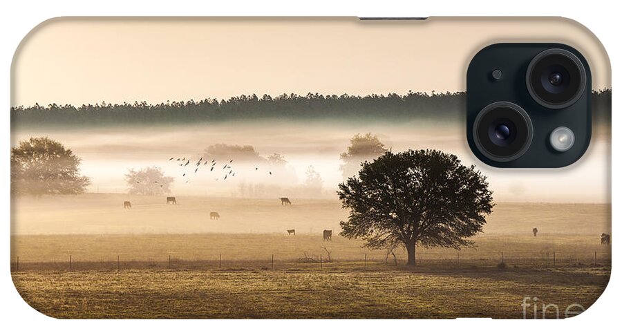 Animal iPhone Case featuring the photograph Sepia Landscape from 500 feet by Jo Ann Tomaselli