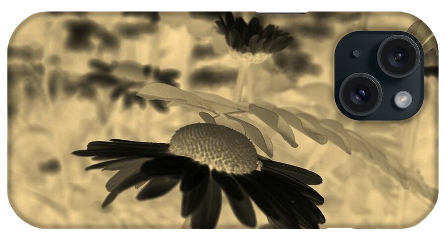Common Daisy iPhone Case featuring the photograph Sepia Oxeye Daisy by Taiche Acrylic Art