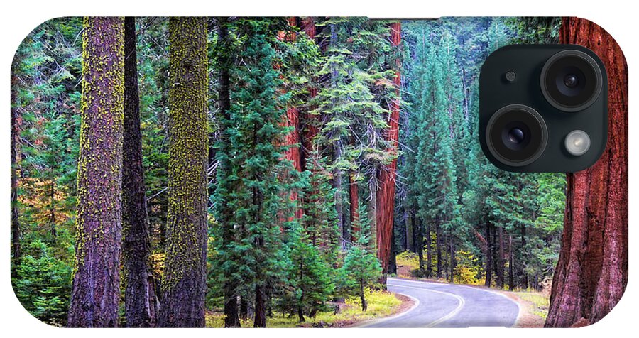 Fiorest iPhone Case featuring the photograph Sequoia Hwy by Beth Sargent
