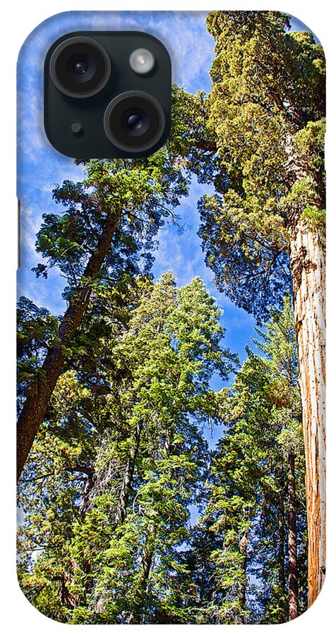 Sequoias Reaching To The Clouds In Mariposa Grove In Yosemite National Park iPhone Case featuring the photograph Sequoias Reaching to the Clouds in Mariposa Grove in Yosemite National Park, California by Ruth Hager