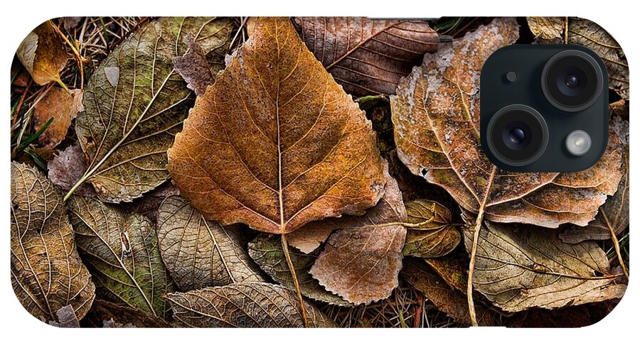 Autumn iPhone Case featuring the photograph Shades of Autumn by Steve Sullivan