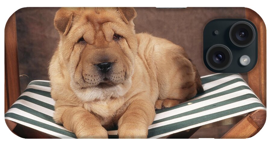 Dog iPhone Case featuring the photograph Shar Pei On Chair by John Daniels