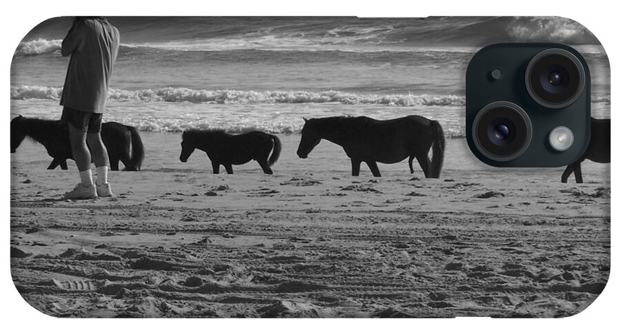 Wild Spanish Mustang iPhone Case featuring the photograph Sharing Spaces by Kim Galluzzo