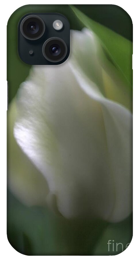 Floral iPhone Case featuring the photograph Sheer Elegance by Mary Lou Chmura