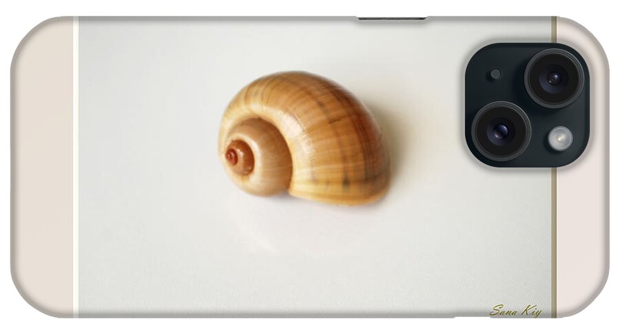 Shell. Delicate Colors iPhone Case featuring the photograph Shell. Delicate colors by Oksana Semenchenko
