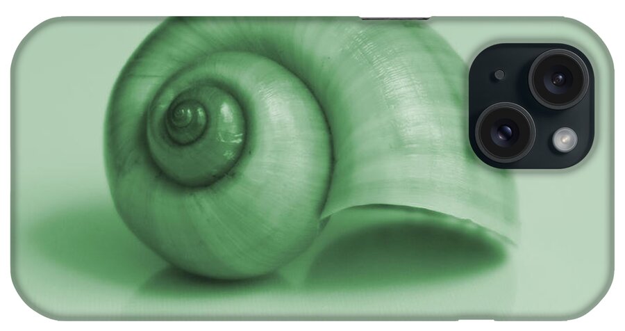 Shell iPhone Case featuring the photograph Shell. Light green by Oksana Semenchenko