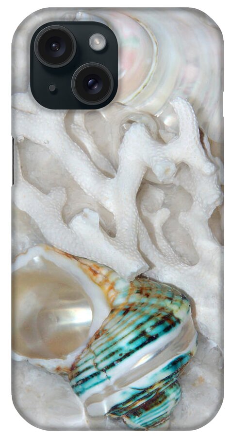 Sea Shells iPhone Case featuring the photograph Shell Serenity by Leda Robertson