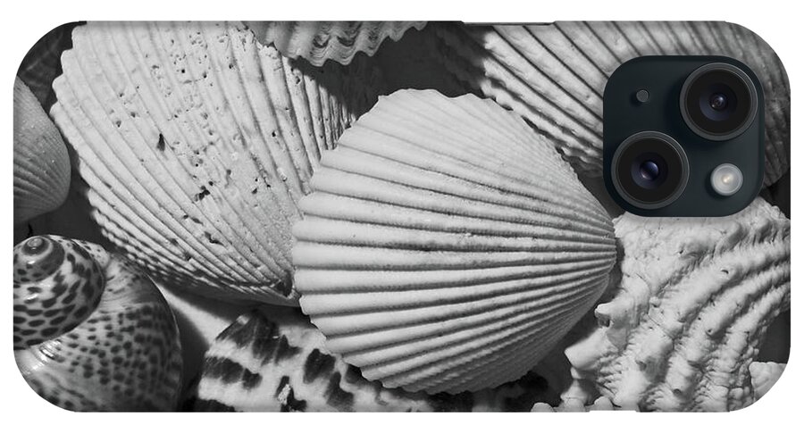 Shell iPhone Case featuring the photograph Shells in Black and White by Mary Bedy
