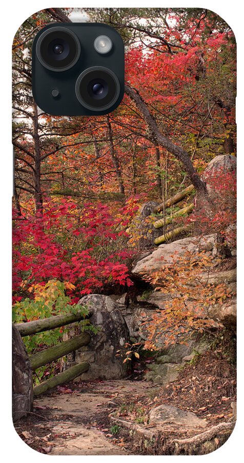 Autumn iPhone Case featuring the photograph Shifting colors by David Troxel