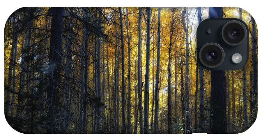 Aspen iPhone Case featuring the photograph Shining Through by Belinda Greb