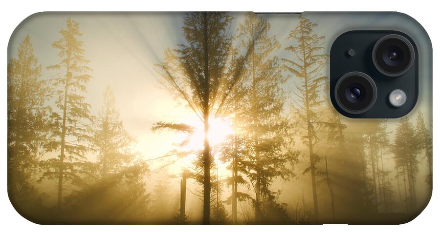 Sunshine iPhone Case featuring the photograph Shining Through by Peggy Collins