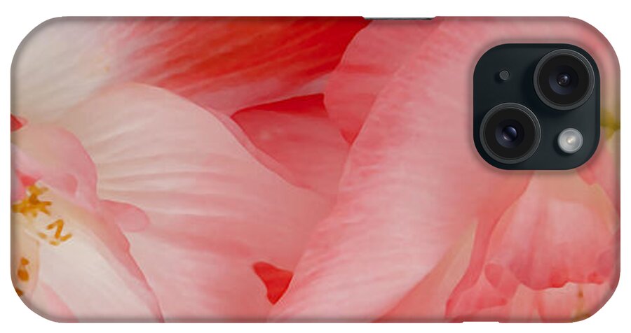 Poppies iPhone Case featuring the photograph Shirley Poppies by Theresa Tahara