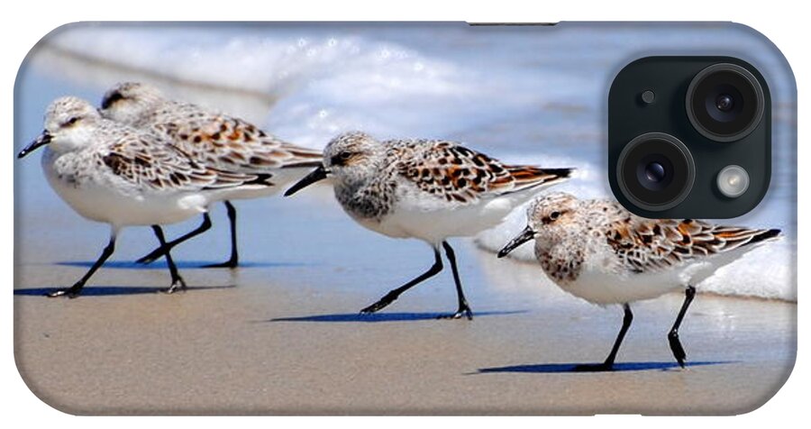 Shorebirds iPhone Case featuring the photograph Shorebird Quartet by Dan Williams