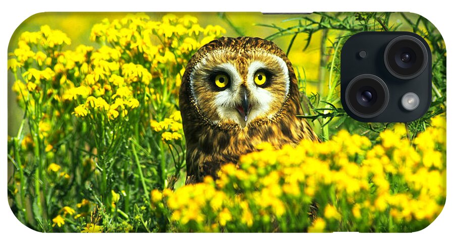Short-eared Owl iPhone Case featuring the photograph Short-eared Owl Amongst Wildflowers #2 by Tom and Pat Leeson