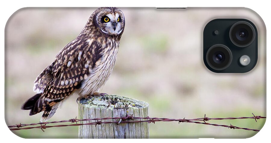 Owl iPhone Case featuring the photograph Short Eared Owl Boundary Bay by Chris Dutton