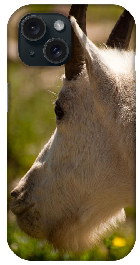 Glacier iPhone Case featuring the photograph Shy by Bruce Gourley