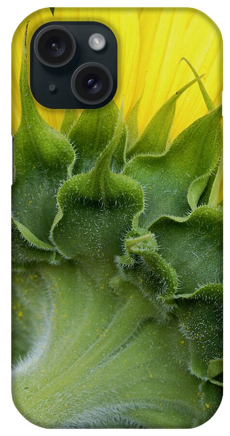 Flower iPhone Case featuring the photograph Shy Sunflower by Nancy De Flon