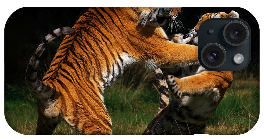 Two iPhone Case featuring the photograph Siberian Tigers in fight by Nick Biemans