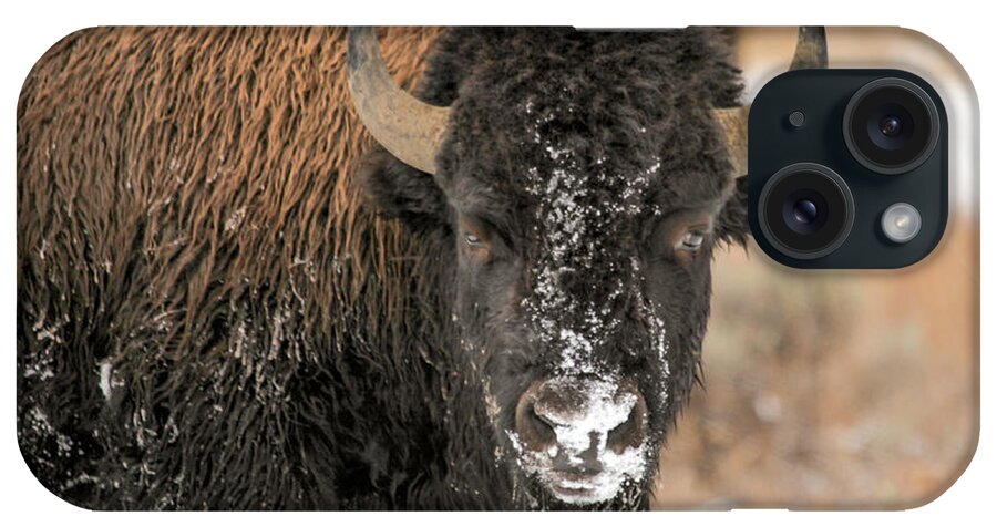 Bison iPhone Case featuring the photograph Signs by Kevin Dietrich