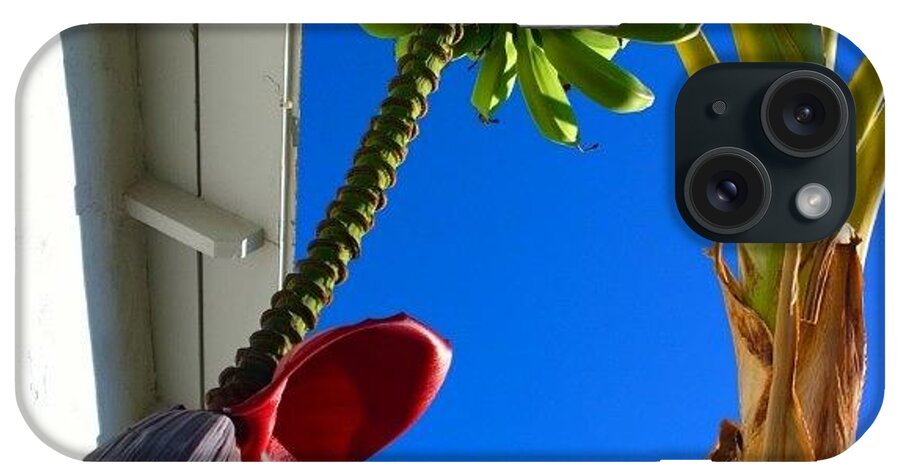 Ilovenature iPhone Case featuring the photograph Siiiiick Plant! #ilovenature by Michael Mantia