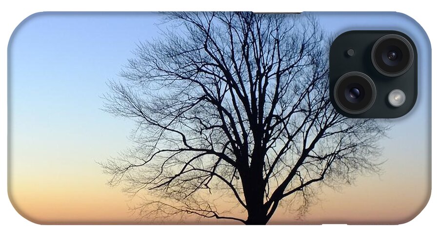 Nature iPhone Case featuring the photograph Silhouette on a Winter Sunrise by Peggy King