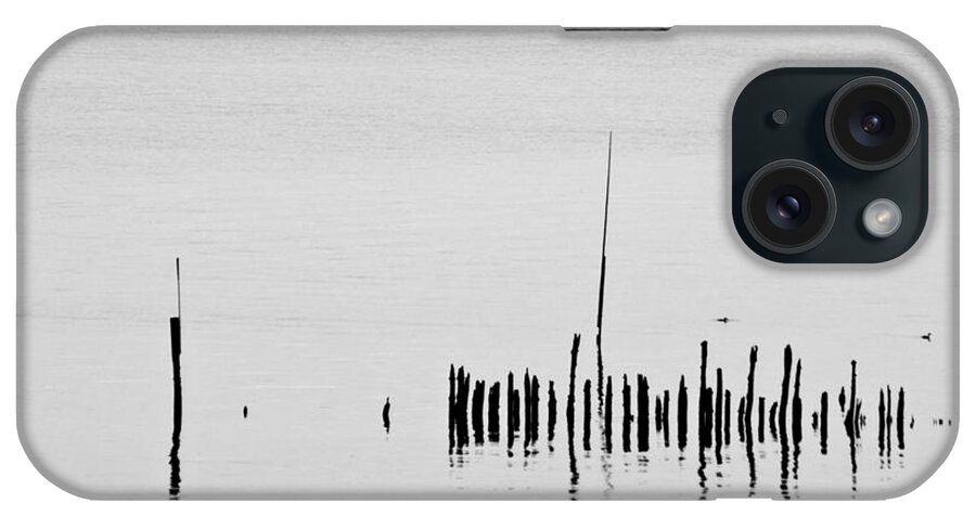 Heiko iPhone Case featuring the photograph Silver Pond and Poles by Heiko Koehrer-Wagner
