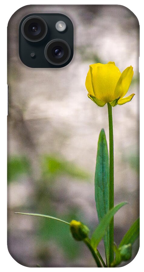 Wildflower iPhone Case featuring the photograph Simple Spring by Bill Pevlor