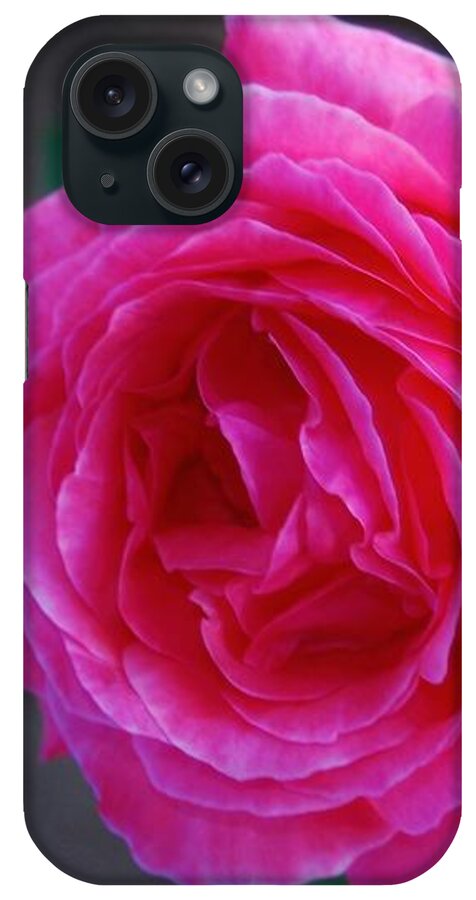 Garden Rose iPhone Case featuring the photograph SimPLy a RoSE by Angela J Wright
