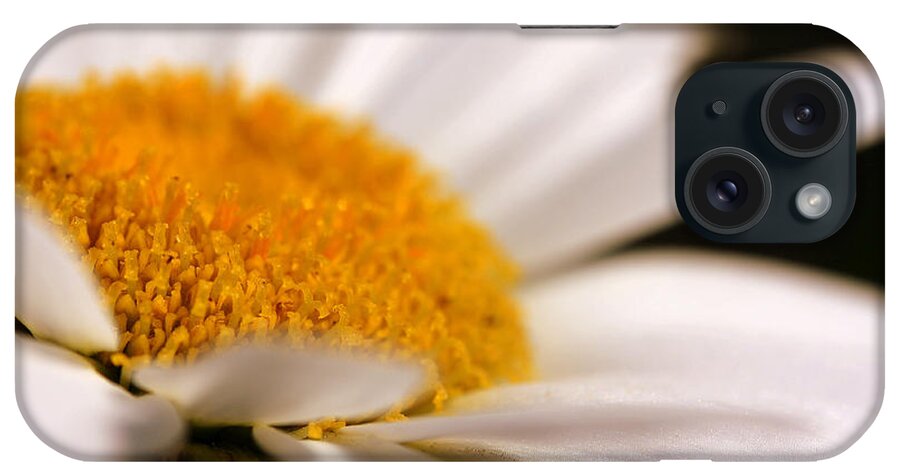 Flower iPhone Case featuring the photograph Simply Daisy by Andrea Platt