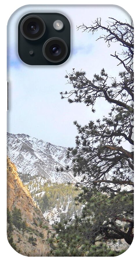 Pine iPhone Case featuring the photograph Simply by Marilyn Diaz