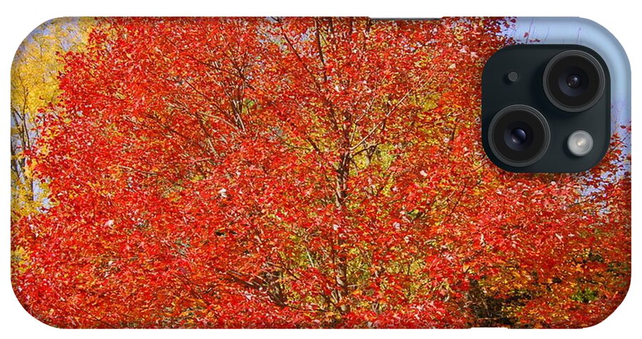 Single Tree iPhone Case featuring the photograph Single Tree by Eunice Miller