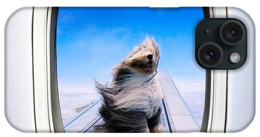 Icamdaily iPhone Case featuring the photograph Sit... Stay!

if You Haven't Already by Cameron Bentley