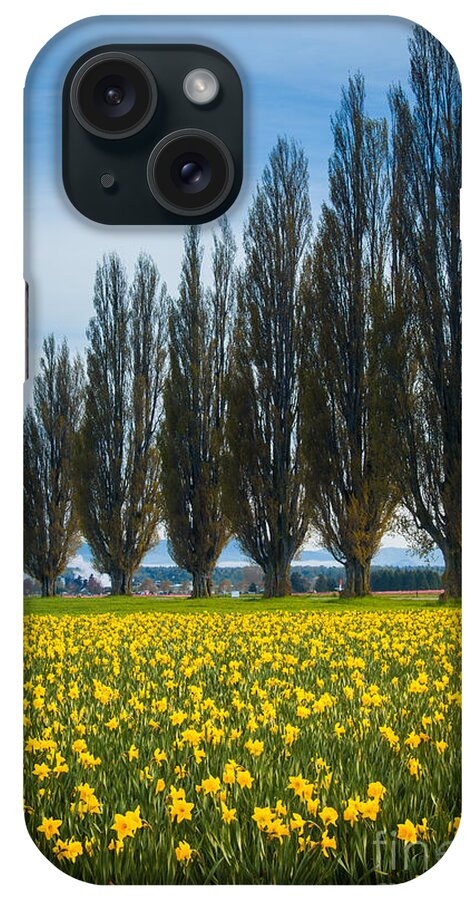 America iPhone Case featuring the photograph Skagit Trees by Inge Johnsson
