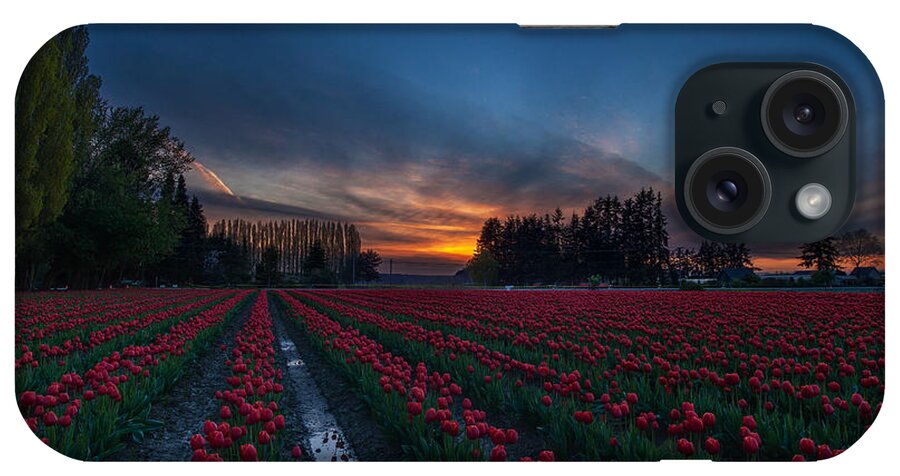 Tulip Fields iPhone Case featuring the photograph Skagit Valley Evenings Close by Mike Reid
