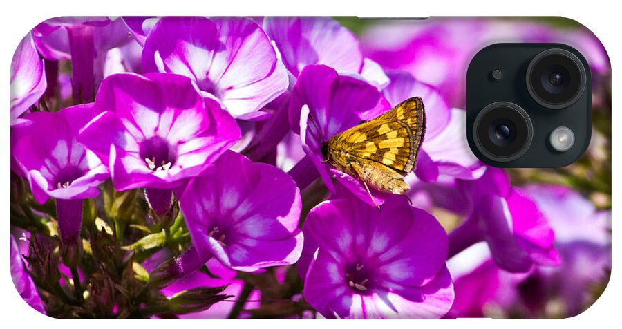 Insect iPhone Case featuring the photograph Skipper Butterfly on Flower by Ms Judi