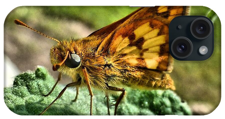 Butterfly iPhone Case featuring the photograph Skipper by Jennifer Wheatley Wolf