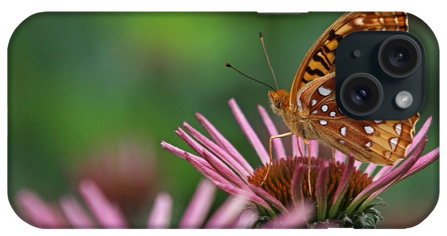 Butterfly iPhone Case featuring the photograph Skipper on Coneflower by Juergen Roth