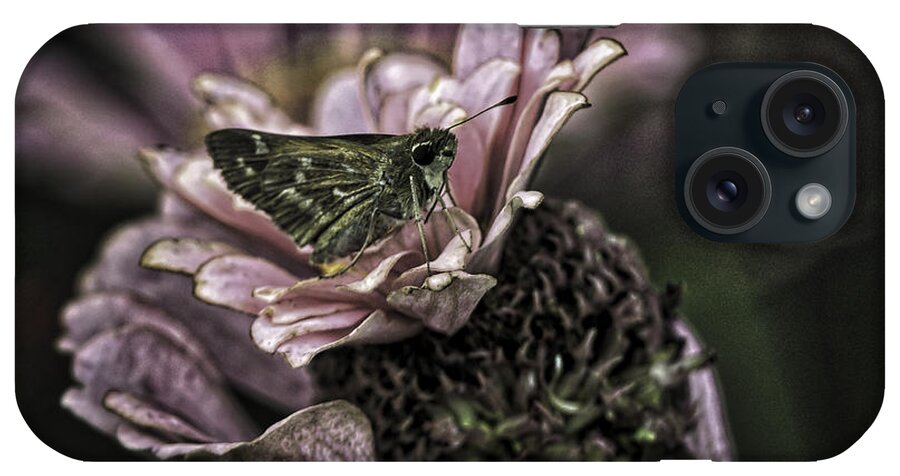 Botanical Gardens iPhone Case featuring the photograph Skipper on flower by Donald Brown