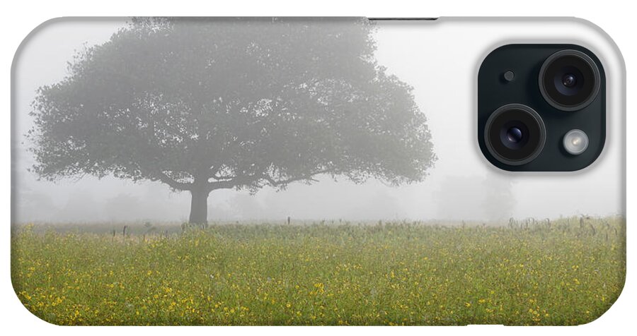Fog iPhone Case featuring the photograph SKC 0056 Tree in Fog by Sunil Kapadia