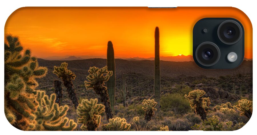 Cholla iPhone Case featuring the photograph Skyfire Cholla by Anthony Citro