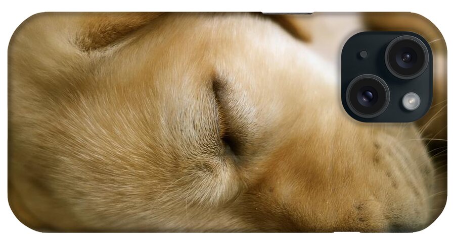 Dog iPhone Case featuring the photograph Sleeping Beauty by Jacqueline Athmann
