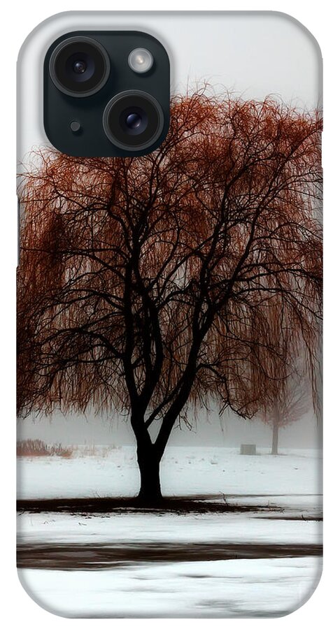 Weeping Willow iPhone Case featuring the photograph Sleeping Willow by Rick Kuperberg Sr