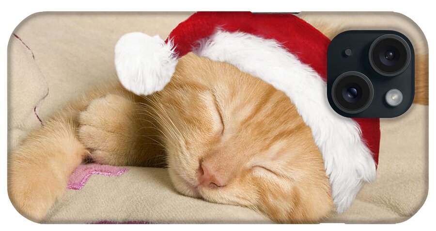 Cat iPhone Case featuring the photograph Sleepy Christmas Kitten by Jean-Michel Labat