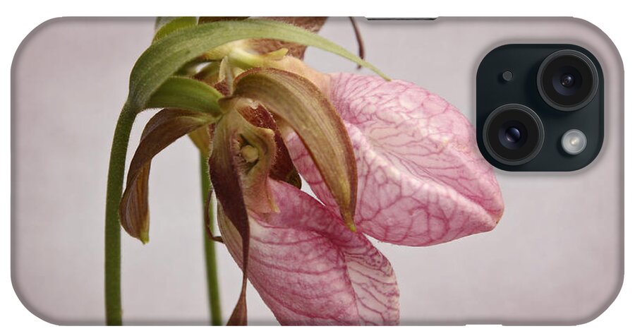 Maine iPhone Case featuring the photograph Slippers by Karin Pinkham