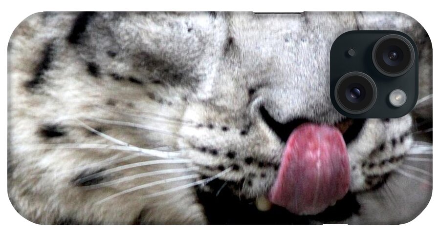 Snow Leopard iPhone Case featuring the photograph Slurp by Ramabhadran Thirupattur