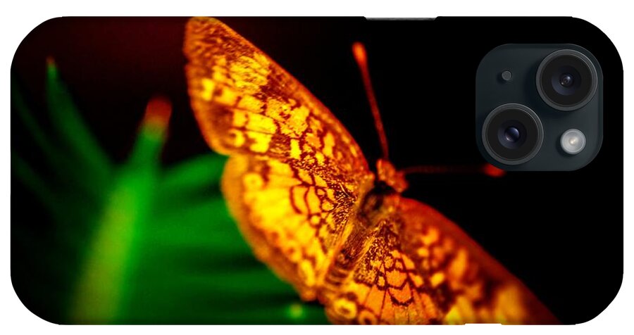  iPhone Case featuring the photograph Small Butterfly by Gerald Kloss