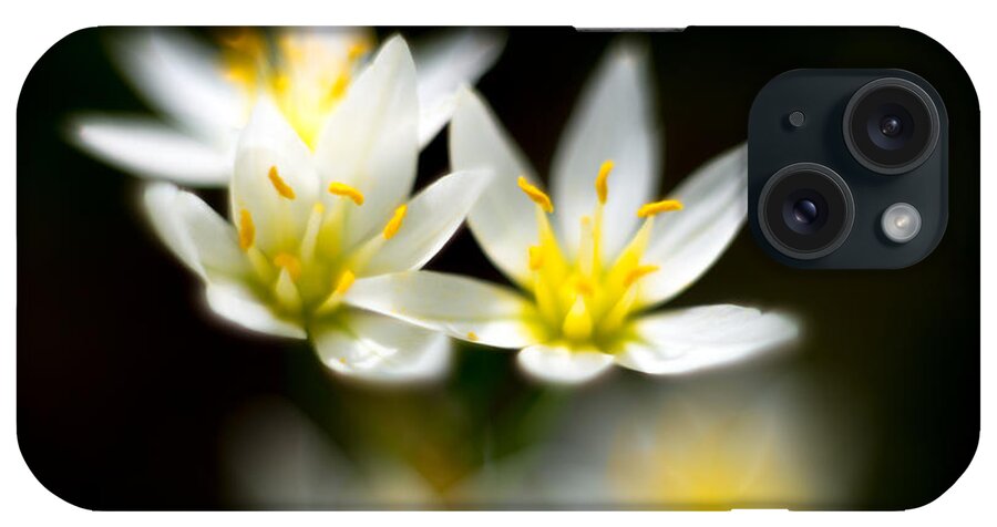Flowers Close Up iPhone Case featuring the photograph Small White Flowers by Darryl Dalton