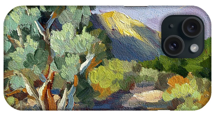Smoke Trees iPhone Case featuring the painting Smoke Trees At Thousand Palms by Diane McClary