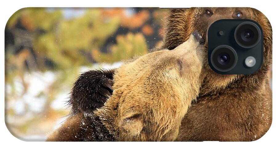 Grizzly Bear iPhone Case featuring the photograph Smooch by Adam Jewell